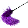 Feather Tickler Purple