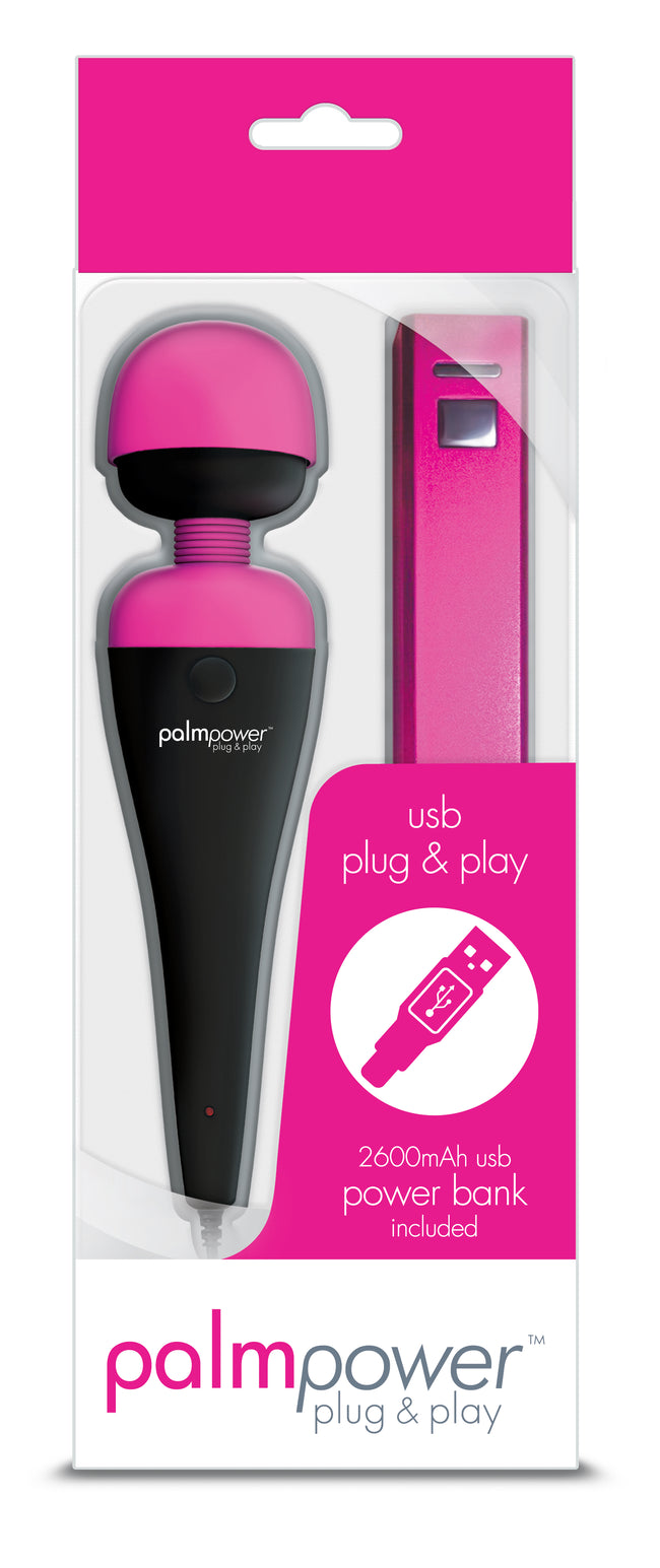 PalmPower Massage Wand Plug and Play USB
