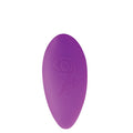 Naughty Knickers panties with silicone bullet and remote control