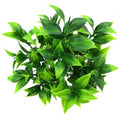Green medium sized artificial plant 7 forks of foliage with approx. 35 leaves.