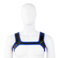 Men's Harness for BDSM or Puppy play in a range of colours.