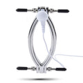 Vaginal speculum with electrical connection for shock treatment