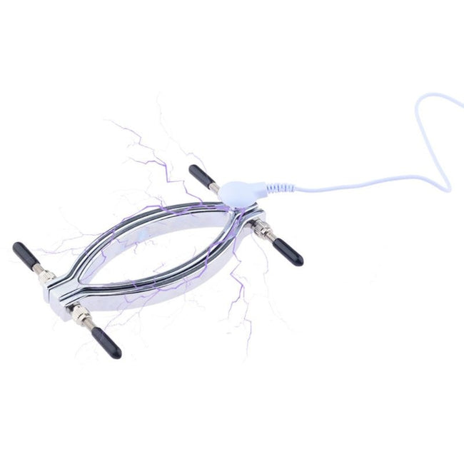 Vaginal speculum with electrical connection for shock treatment