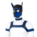 Complete Puppy Play body set costume 2 sizes and 6 colour choices